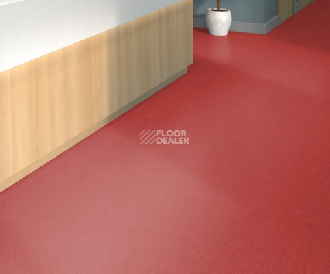 Tarkett iq Melodia 2634 фото 2 | FLOORDEALER